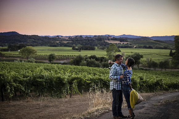 people-vinyard-couple-romantic-hug