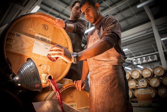 Twomey merlot cellar workers check barrel aging wine with a light