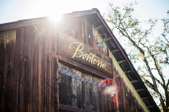 barn-bonterra-tree-sun-sky
