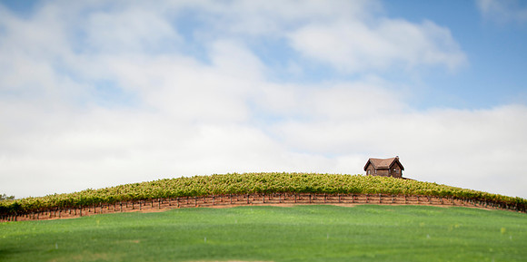 Dehlinger Winery octagon house on vineyard hill