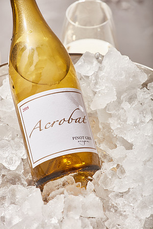 200417_Acrobat_Beauty_OS_5419_OS_RT